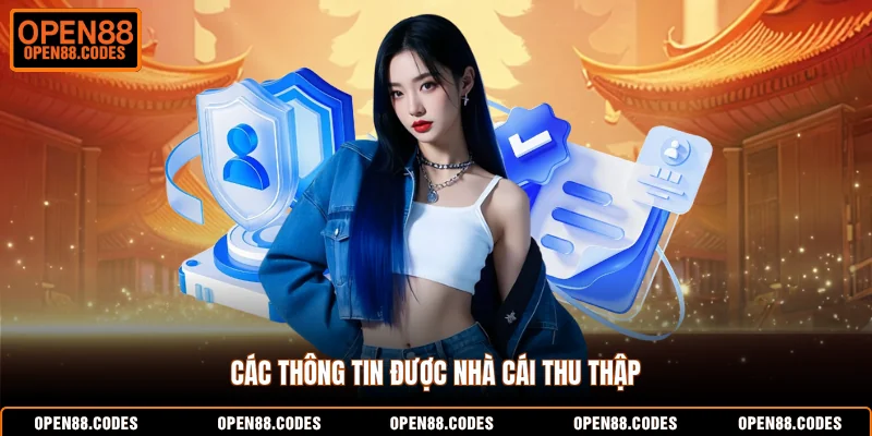 Các thông tin được nhà cái thu thập
