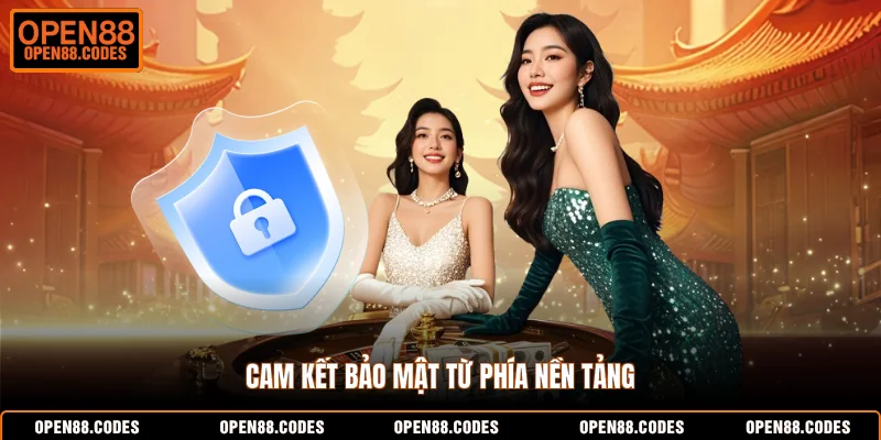 Cam kết bảo mật từ phía nền tảng