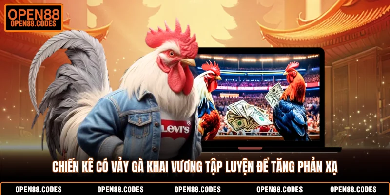 Chiến kê có vảy gà khai vương tập luyện để tăng phản xạ