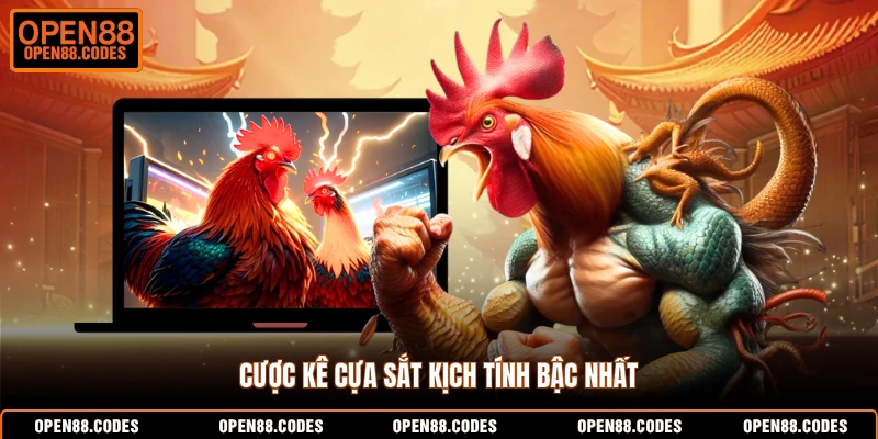 Cược kê cựa sắt kịch tính bậc nhất