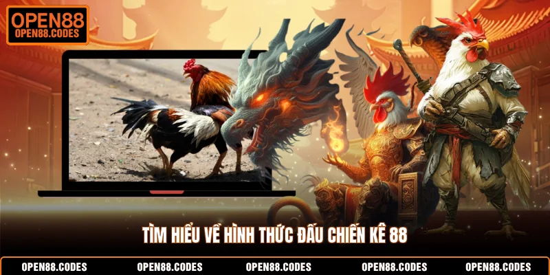 Tìm hiểu về hình thức đấu chiến kê 88
